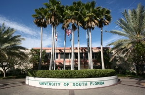 University of South Florida-Main Campus