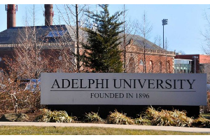 Adelphi University: BSN, MSN, DNP, Accelerated BSN